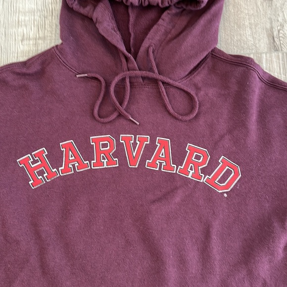 Harvard fleece-lined cropped hooded sweatshirt / hoodie worn once, SUPER SOFT!!! - Picture 2 of 6